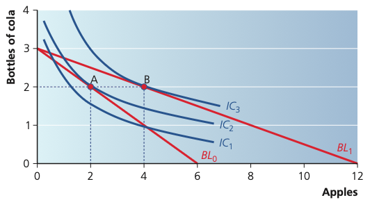 Budget line rotating outward from BL0 to BL1 after the price of apples falls