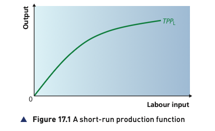 Short-run production function showing TPP rising at a decreasing rate as labour input increases