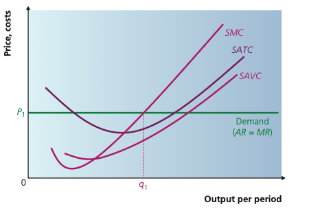 Perfect competition diagram with SMC, SATC, SAVC and a horizontal demand line