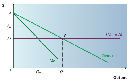 First-degree price discrimination diagram with demand equal to average and marginal revenue