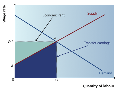 Economic rent and transfer earnings in the labour market.