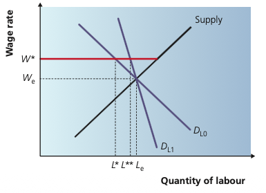 Minimum wage with different labour-demand conditions.