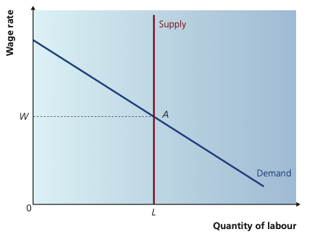 Perfectly inelastic supply of labour.