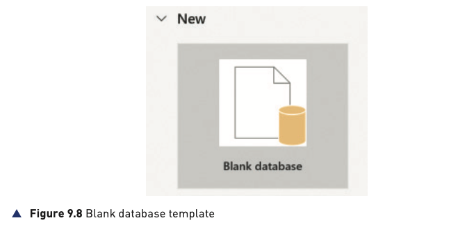 Figure 9.8 blank database template from the textbook
