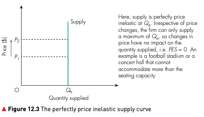 A vertical perfectly price inelastic supply curve showing quantity supplied staying fixed when price changes