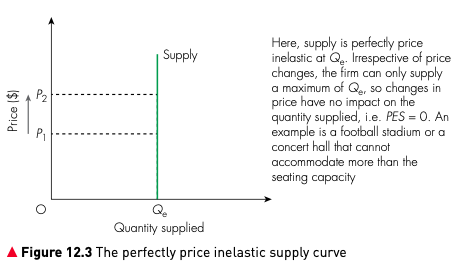 A vertical perfectly price inelastic supply curve showing quantity supplied staying fixed when price changes