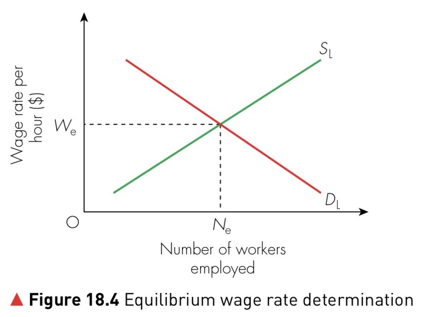 Figure 18.4 Equilibrium wage rate determination