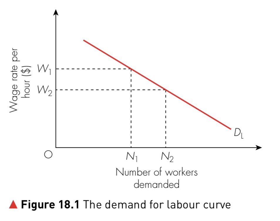 Figure 18.1 The demand for labour curve