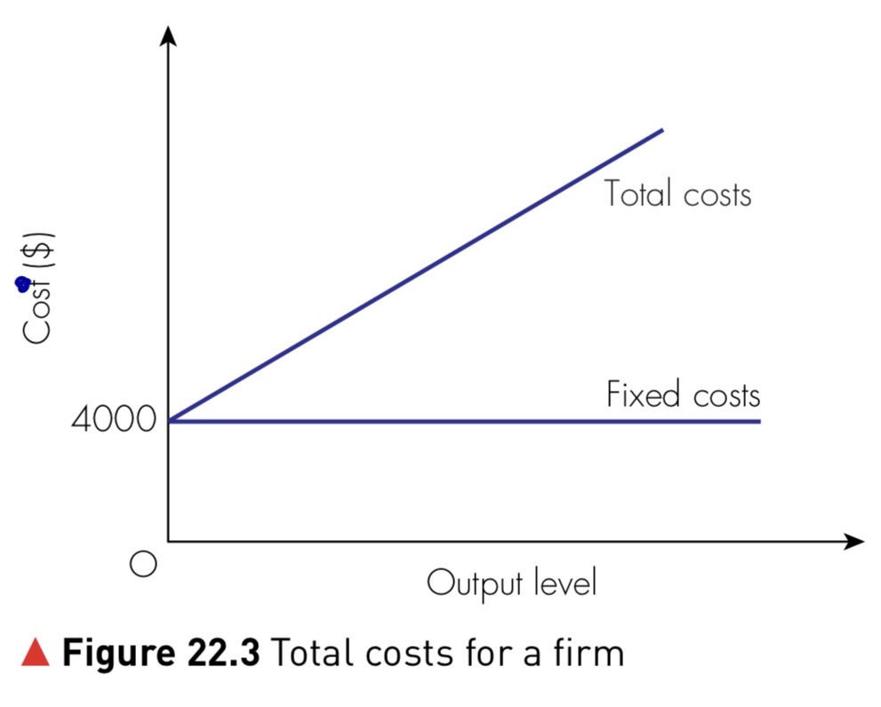 Figure 22.3 Total costs for a firm