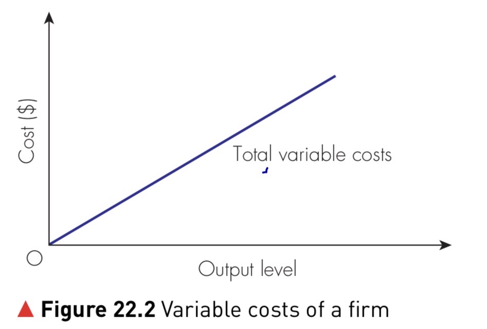 Figure 22.2 Variable costs of a firm