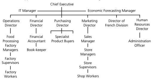 Organisational structure example