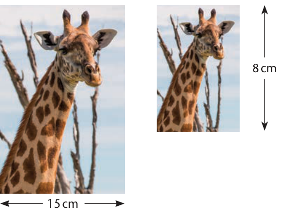 Corresponding photograph dimensions can be compared using equivalent ratios.
