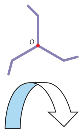 Threefold rotation and a one-turn shape