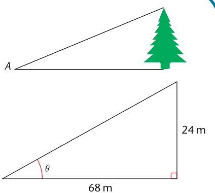 Tree with line of sight and angle of elevation from textbook